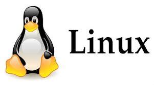 Kali Linux'da Sistem Ana Bilgisayar Adını Değiştirme: hostnamectl Komutuyla Adım Adım Rehber